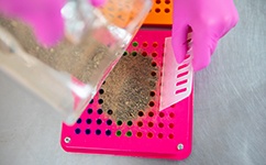 The Placenta Encapsulation Process - Mommy Made Encapsulation